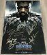 Black Panther Cast Signed 12x18 Photo Poster Michael B. Jordan +7 Withexact Proof