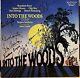 Into The Woods Original Broadway Cast Signed Lp Broadway Sondheim Poster
