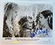 Labyrinth 8x10 Photo Cast Signed By Jennifer Connelly & David Bowie Classic 80s