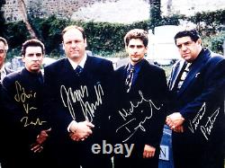 SOPRANOS CAST JAMES GANDOLFINI ++ JSA SIGNED 16x20 PHOTOGRAPH AUTOGRAPHED