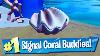 Signal The Coral Buddies Location Fortnite Battle Royale