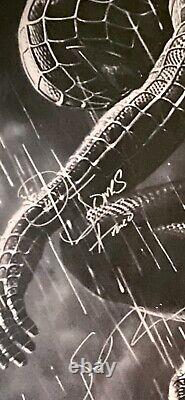 Spider-Man 3 cast signed poster Tobey Maguire, Kirsten Dunst, James Franco +7