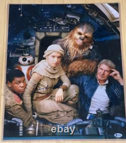 Star Wars TFA cast signed 16x20 Photo BAS LOA Daisy Ridley, Peter Mayhew +