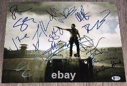 THE WALKING DEAD CAST x14 SIGNED 11x14 PHOTO withPROOF & BECKETT BAS LOA