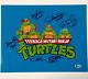 Teenage Mutant Ninja Turtles Tmnt Cast (5) Signed 11x14 Photo + Sketch Bas Coa
