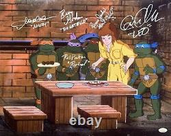 Teenage Mutant Ninja Turtles cast signed inscribed 16x20 photo JSA Witness TMNT