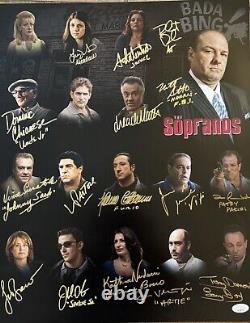 Distribution de Sopranos signée ? Photo personnalisée de 16x20 signée par 16 membres du casting, le plus jamais vu