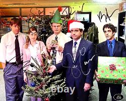 Le casting de THE OFFICE signé 8x10 (Carell, Krasinski, Wilson, etc) x5 autographes avec COA