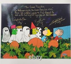 Photo 11x14 signée par le casting de Peanuts Charlie Brown Halloween Kesten Sloan Tolkin COA