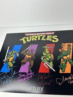 'Photo originale de 4 acteurs de Teenage Mutant Ninja Turtles signée 11x14 Beckett Cartoon'
