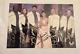 Star Trek Nemesis Cast Signé 10x15 Photo De Film